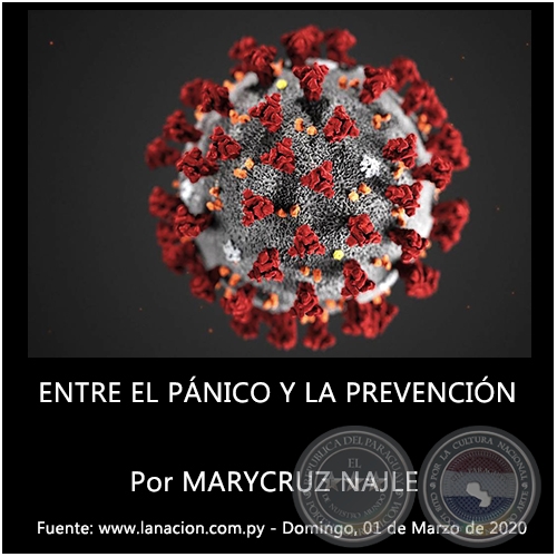 ENTRE EL PÁNICO Y LA PREVENCIÓN - Por MARYCRUZ NAJLE - Domingo, 01 de Marzo de 2020